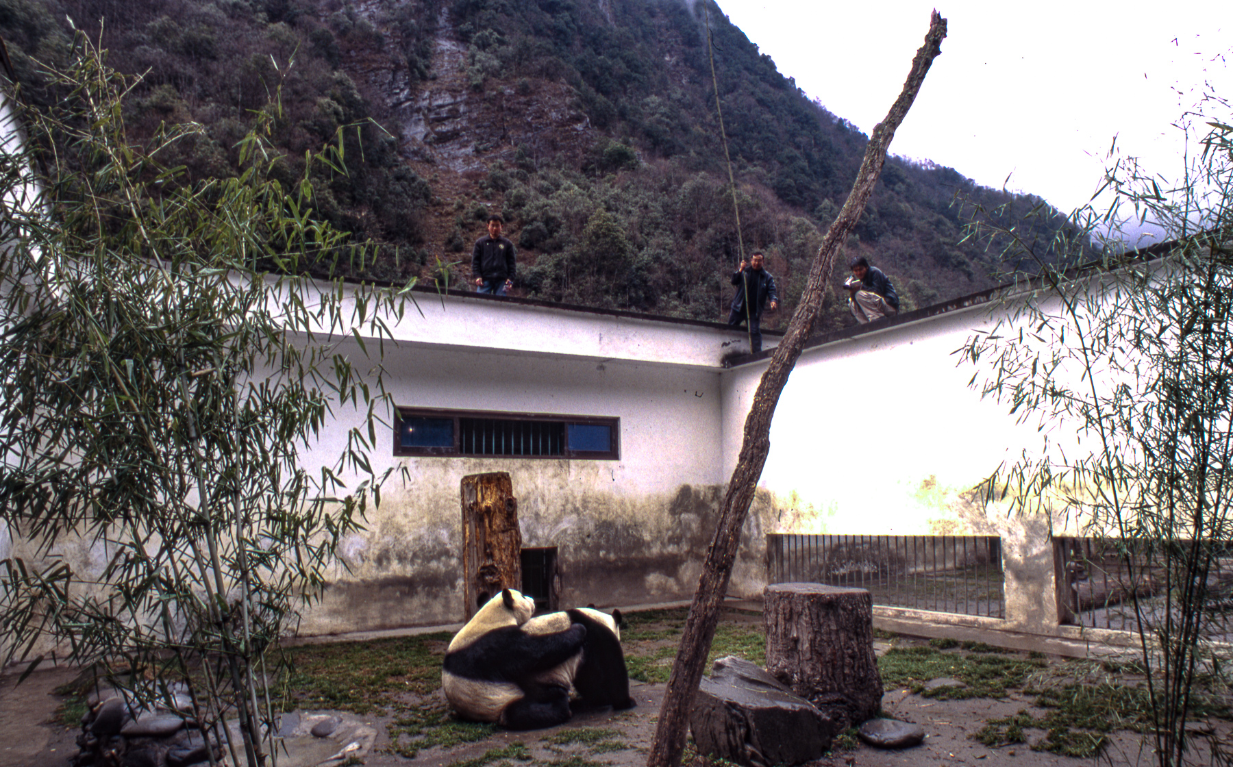 Pandas010